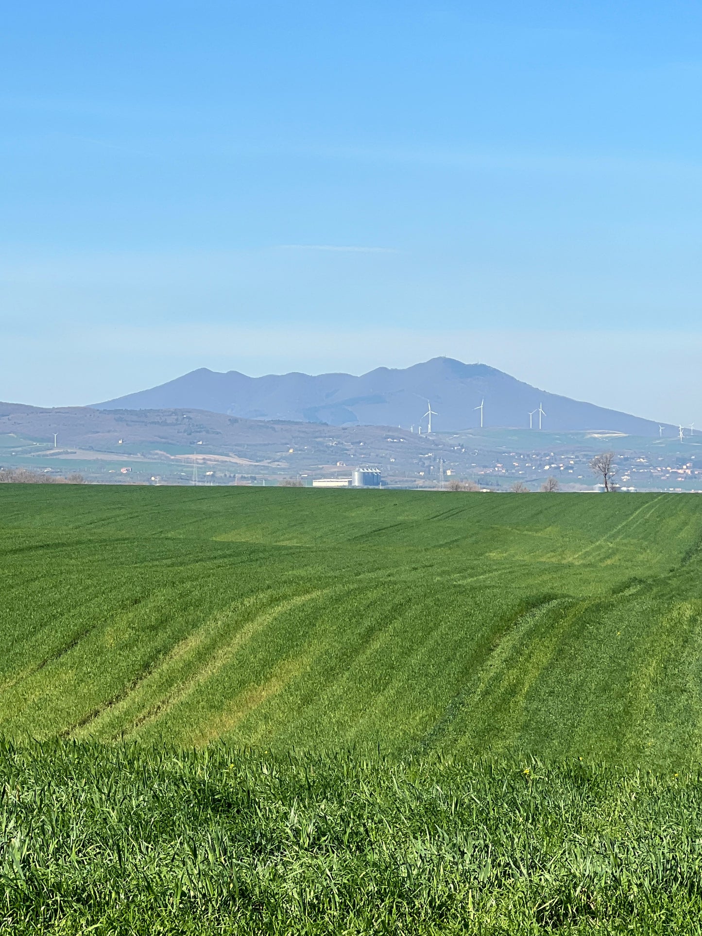 GRANO DURO INTEGRALE - Coltivato in Basilicata, Italia