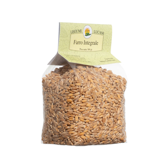 WHOLE SPELT - Grown in Basilicata, Italy