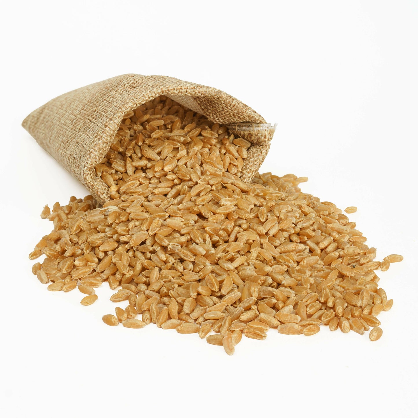 GRANO DURO INTEGRALE - Coltivato in Basilicata, Italia.