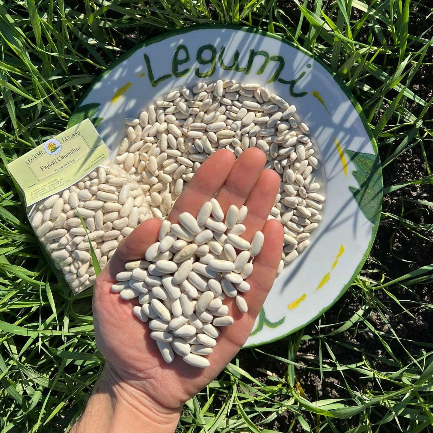 FAGIOLI CANNELLINI - Coltivati in Basilicata, Italia.