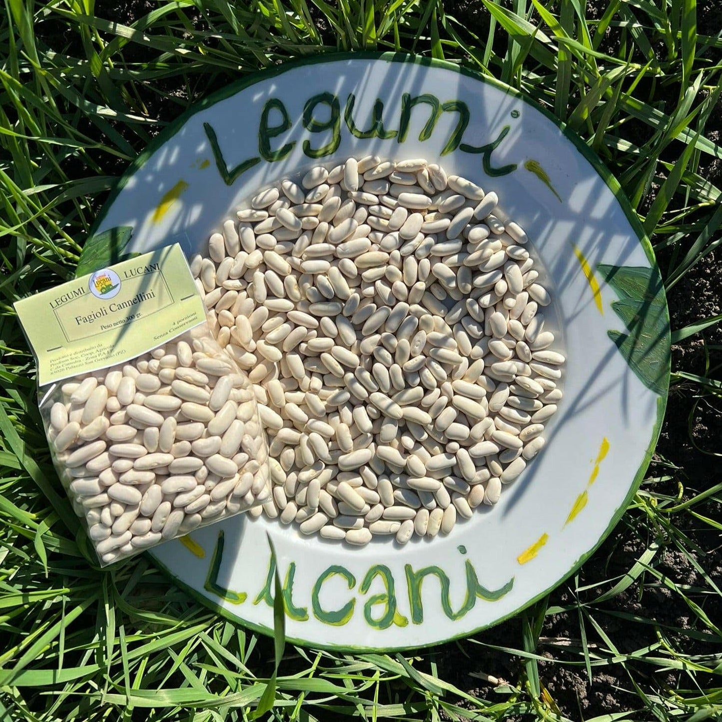 FAGIOLI CANNELLINI - Coltivati in Basilicata, Italia.