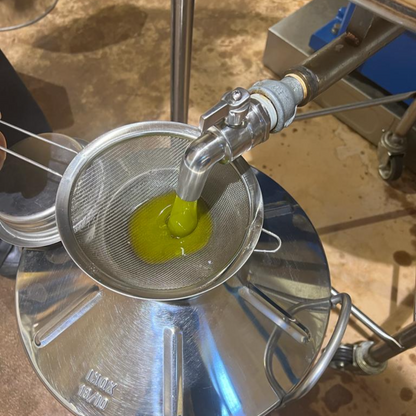 OLIO EXTRA VERGINE DI OLIVA - Coltivato in Basilicata, Italia.