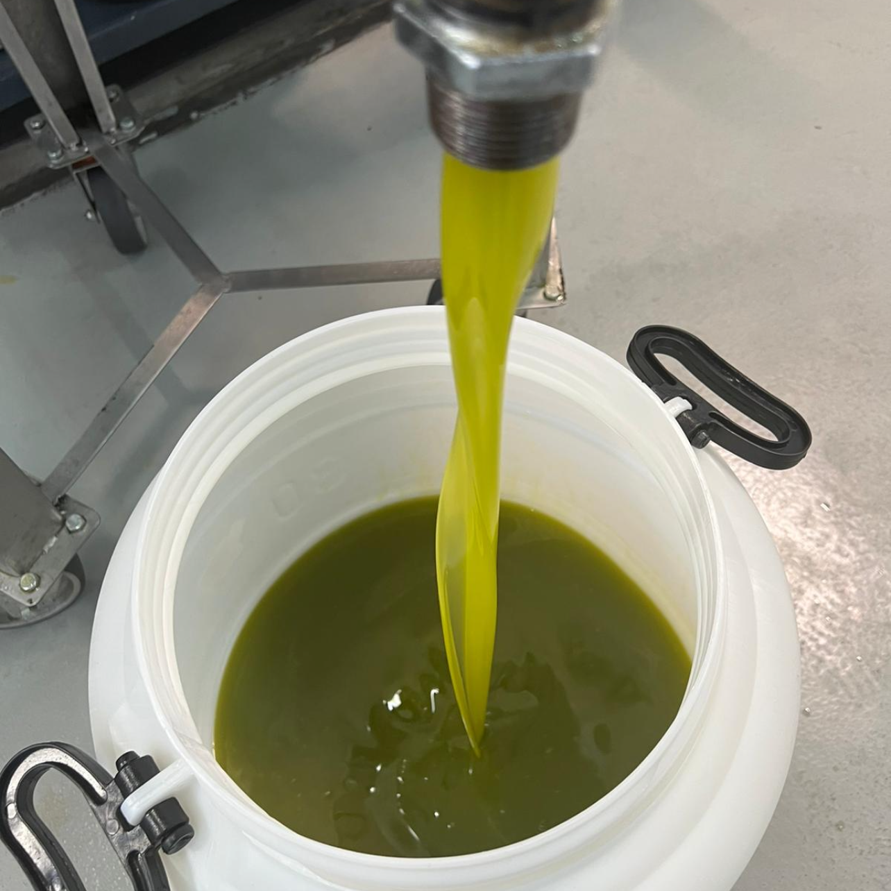 OLIO EXTRA VERGINE DI OLIVA - Coltivato in Basilicata, Italia