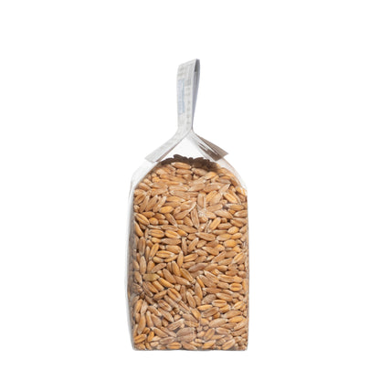 WHOLE SPELT - Grown in Basilicata, Italy
