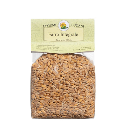 WHOLE SPELT - Grown in Basilicata, Italy