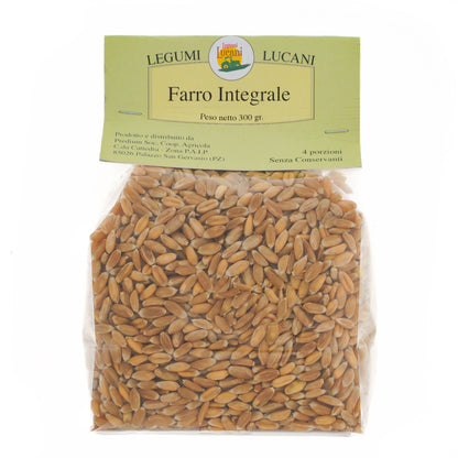WHOLE SPELT - Grown in Basilicata, Italy