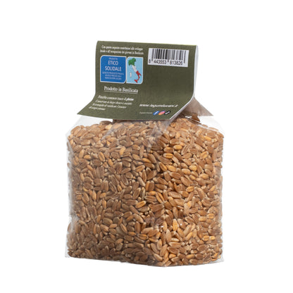WHOLE DURUM WHEAT - Grown in Basilicata, Italy