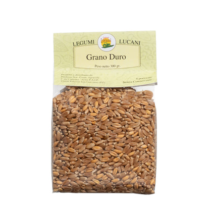 WHOLE DURUM WHEAT - Grown in Basilicata, Italy