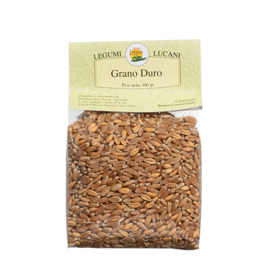WHOLE DURUM WHEAT - Grown in Basilicata, Italy