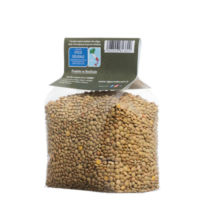 GREEN LENTILS (small) - Grown in Basilicata, Italy