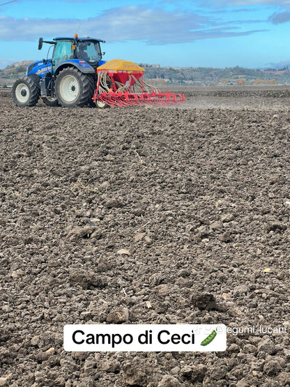 CECI DECORTICATI (grandi)  - Coltivati in Basilicata, Italia - Legumi Lucani