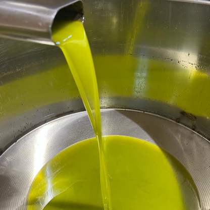 OLIO EXTRA VERGINE DI OLIVA - Coltivato in Basilicata, Italia.