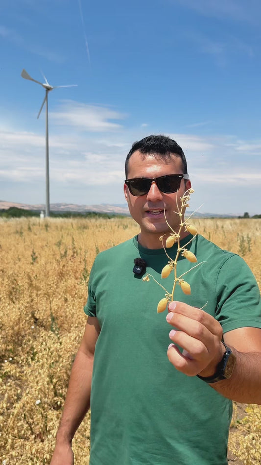 🎁 BOX RACCOLTA Luglio 2026 🧑‍🌾