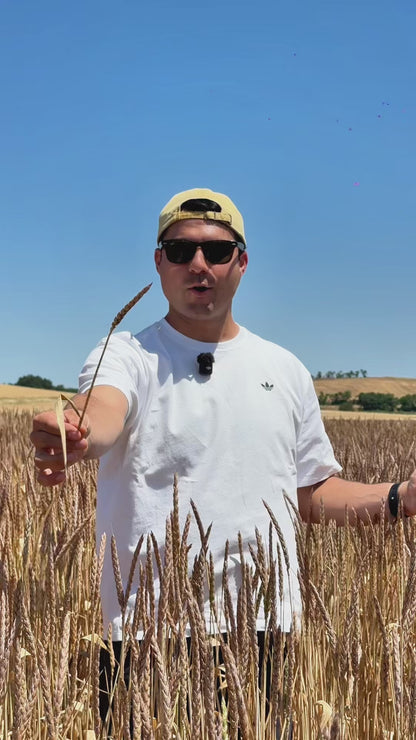 🎁 BOX RACCOLTA Luglio 2026 🧑‍🌾
