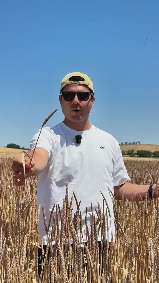 🎁 BOX RACCOLTA Luglio 2026 🧑‍🌾