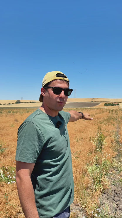 🎁 BOX RACCOLTA Luglio 2026 🧑‍🌾