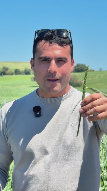 🎁 BOX RACCOLTA Luglio 2026 🧑‍🌾