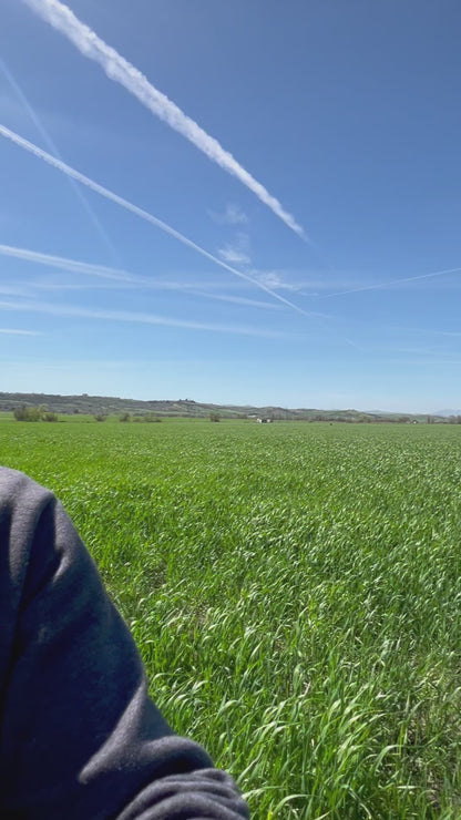 WHOLE DURUM WHEAT - Grown in Basilicata, Italy